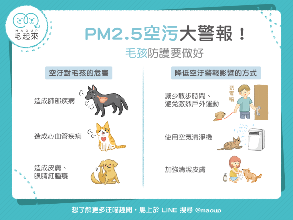 【汪喵康健】PM2.5空汙大警報！如何降低空汙對毛孩的氣管傷害？