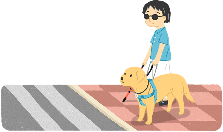 【導盲犬小知識】咦？狗狗是色盲，那怎麼幫助主人過馬路呢？