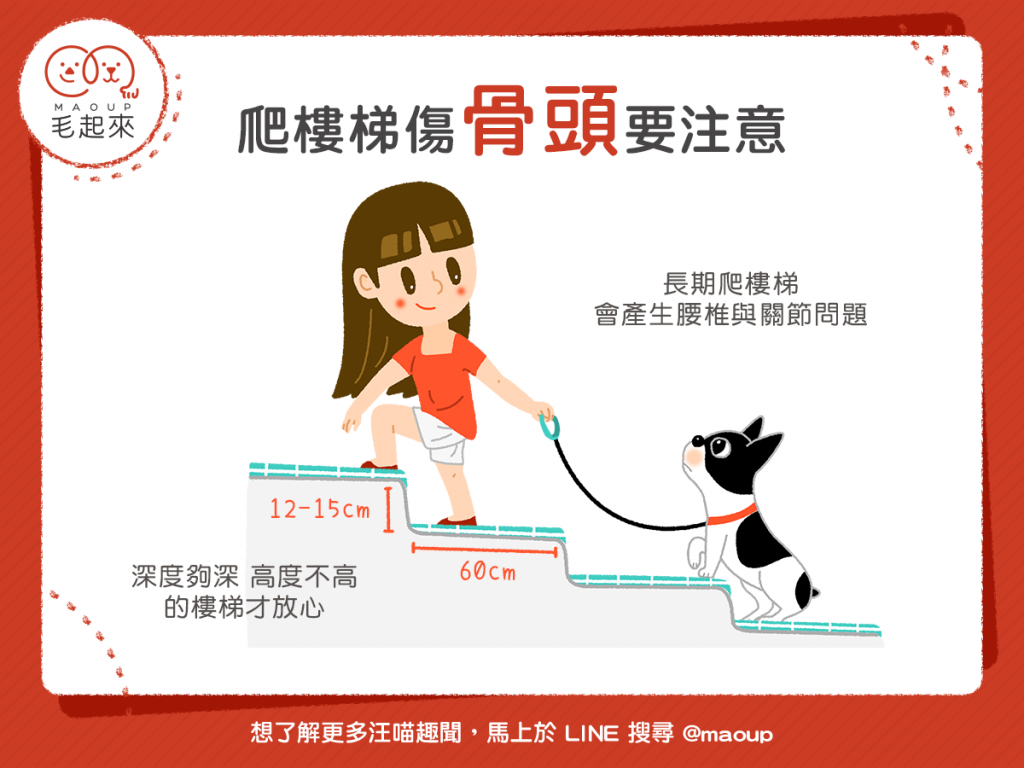 狗狗爬樓梯，脊椎和關節容易出問題