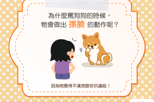 【汪汪真心話】罵狗狗的時候，狗狗擦臉是為什麼？！