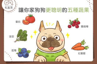 狗可以吃的蔬果