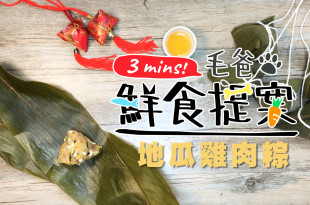 【毛爸鮮食提案】端午節一起來包粽子吧！健康又營養－地瓜雞肉粽