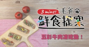 【毛爸鮮食提案】咕溜咕溜創意料理～五彩牛肉凍吃動！