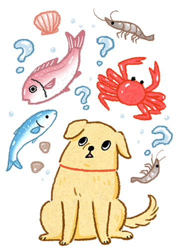 狗狗吃海鮮迷思