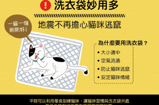 【地震注意報】洗衣袋妙用多～地震不再擔心貓咪逃竄！