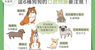 要注意口腔問題的6種狗狗