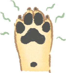 狗狗趾間炎導致腳掌有異味