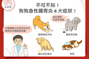 狗狗腸胃炎4大症狀