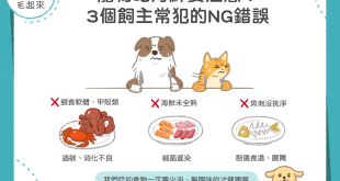 貓狗吃海鮮要注意