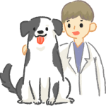 狗狗跟醫生